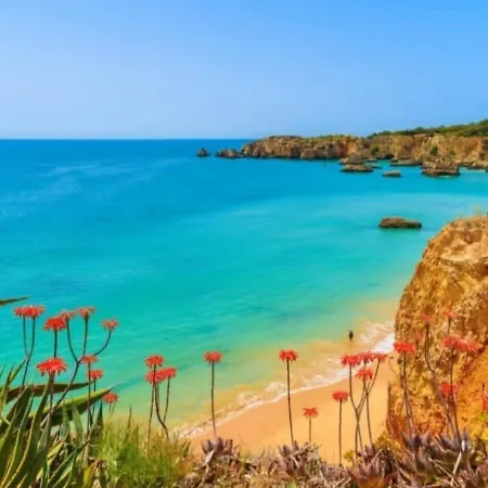 Apartmán Cor Do Mar - Sunny, Clean And Spacious With Sea View, In - Very Close Walking Distance To The And Village